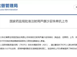 一文盘点肺癌领域ADC，看看“魔法子弹”威力如何？