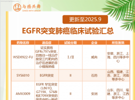 EGFR 突变肺癌治疗策略及临床试验汇总