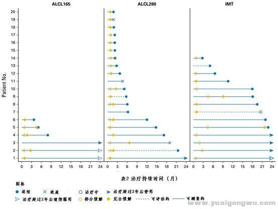 治疗儿童ALCL2.jpg