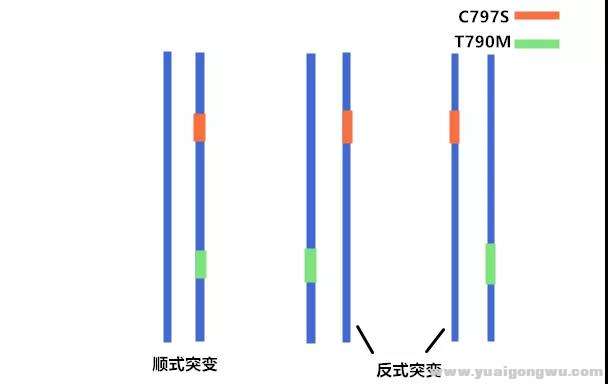 微信图片_20200727174120.jpg