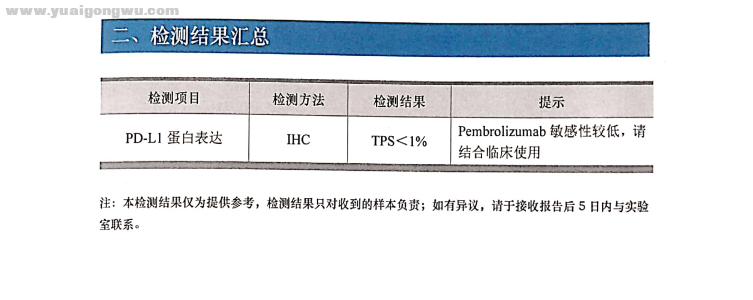 pd-l1蛋白表达.png