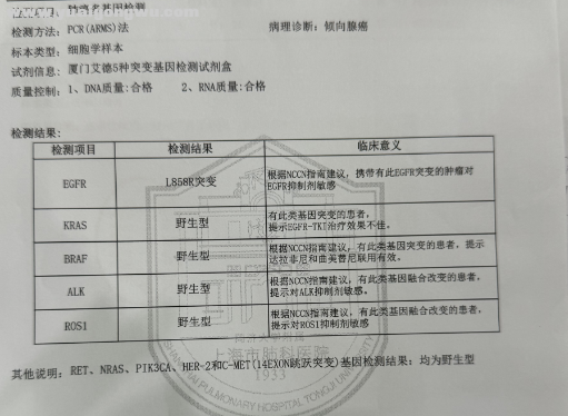 基因.png